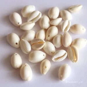White Cowrie Shells With Hole- 25 Pcs