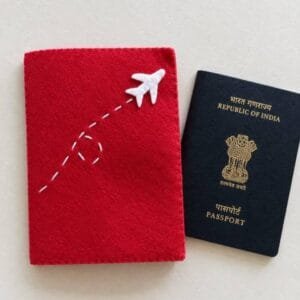 Felt Passport Cover with Airplane Design